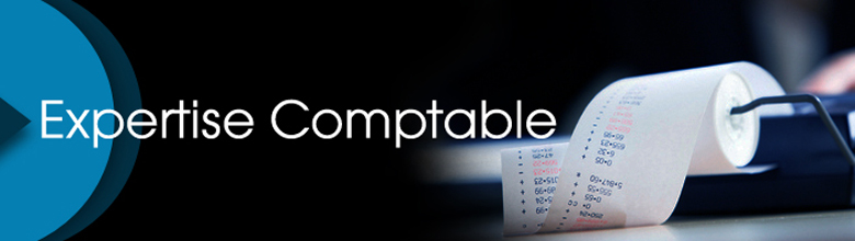 Expert comptable