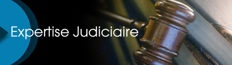 Expertise judiciaire